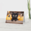 Search for autumn halloween cards Rustic