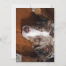 Search for butt invitations Dog