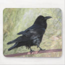 Search for raven mousepads Crow