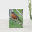 Search for cheerful cards Nature