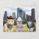 Search for little cats postcards Funny
