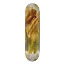 Search for bordered skateboards Brown