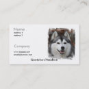 Search for huskies business cards Puppies