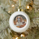 Search for fall autumn leaves christmas decor Dog
