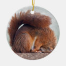 Search for red squirrel christmas tree decorations Rodent