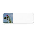 Search for thistles return address labels Scotland