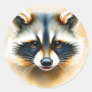Search for animal faces stickers Racoon