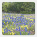 Search for texas hill country stickers Abundance