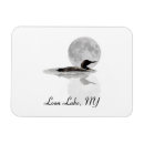 Search for loons magnets Common loon