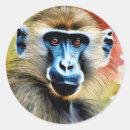 Search for baboon stickers Animal