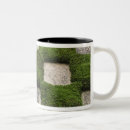 Search for temple mugs Abstract