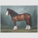 Search for clydesdale horse Animal
