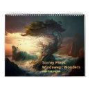 Search for windswept Coast
