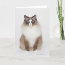Search for furries cards Cats