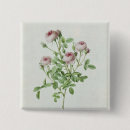Search for redoute badges Rose