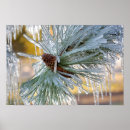 Search for pine needle posters Winter