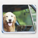Search for car window electronics Animal