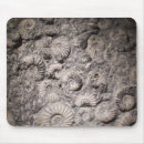 Search for fossil mousepads Ammonite