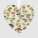 Search for vintage mushroom christmas tree decorations Cottage core