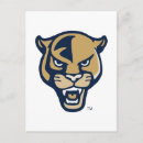 Search for licence postcards Fiu