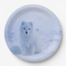 Search for arctic fox plates Nature