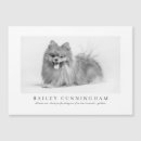 Search for veterinary nurse cards Veterinarian