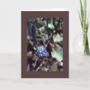 Search for grapevine cards Christian