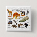 Search for kangaroo square badges Wildlife