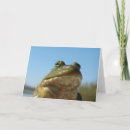 Search for bullfrog cards Green