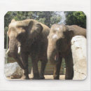 Search for pachyderm mousepads Wild animal