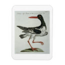 Search for engravings magnets Hand