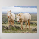 Search for larry ditto posters Farm