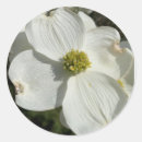 Search for dogwood stickers White