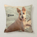 Search for blue heeler home decor Herding