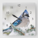 Search for atlas clocks Danita delimont
