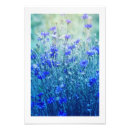 Search for cornflower blue posters Green