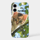 Search for kitten cases Cute