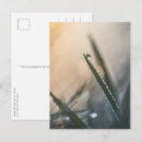 Search for blading postcards Floral