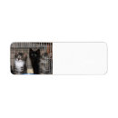 Search for adoption return address labels Animals