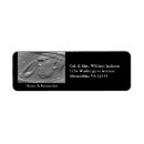 Search for air force return address labels Navy