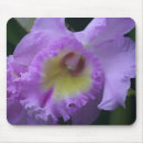 Search for lavendar mousepads Purple