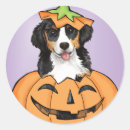 Search for berner stickers Bernese mountain dog