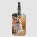 Search for pic travel accessories Cat