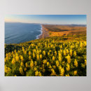 Search for small point posters Coast
