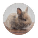 Search for rabbit chopping boards Woodland