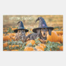 Search for weiners stickers Dachshund