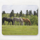 Search for calgary mousepads Canada