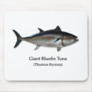 Search for giant mousepads Sea
