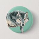 Search for polar wolf Artic
