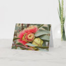 Search for red wildflowers cards Native